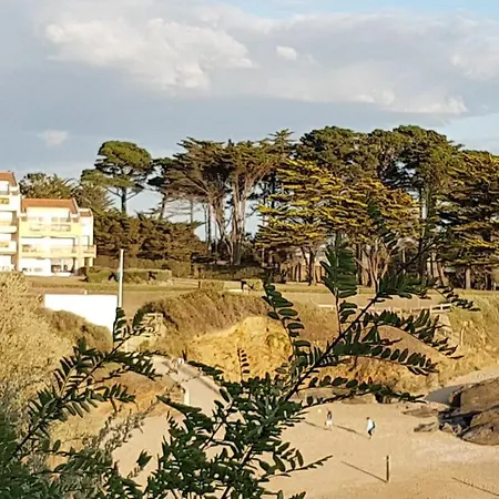 Appartement En Rdc Avec Terrasse Face A La